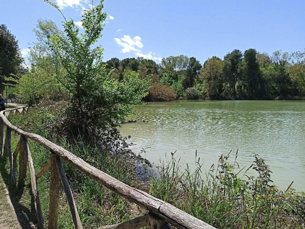 Pineta Dannunziana.jpeg